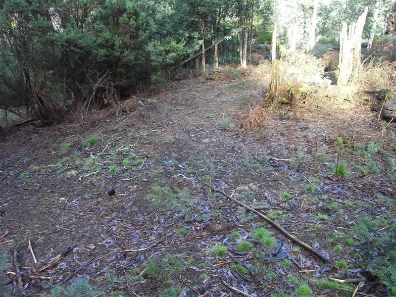 1759 Loongana Road, Loongana TAS 7315