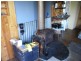 1759 Loongana Road, Loongana TAS 7315