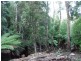 1759 Loongana Road, Loongana TAS 7315