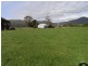 245 Lowana Road, Gunns Plains TAS 7315
