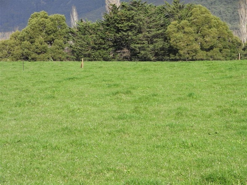 245 Lowana Road, Gunns Plains TAS 7315