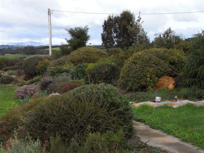 104 Mannings Jetty Road, North Motton, Ulverstone TAS 7315