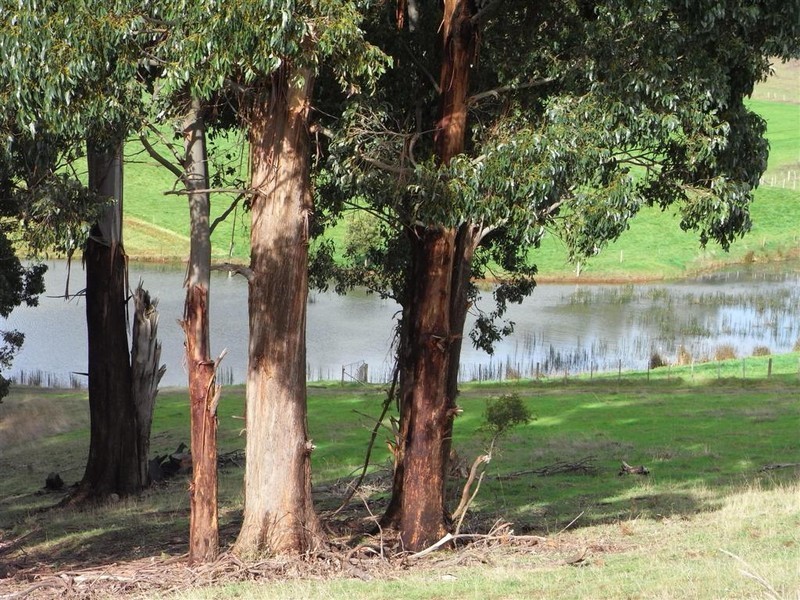 104 Mannings Jetty Road, North Motton, Ulverstone TAS 7315