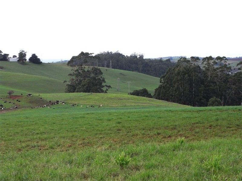 104 Mannings Jetty Road, North Motton, Ulverstone TAS 7315