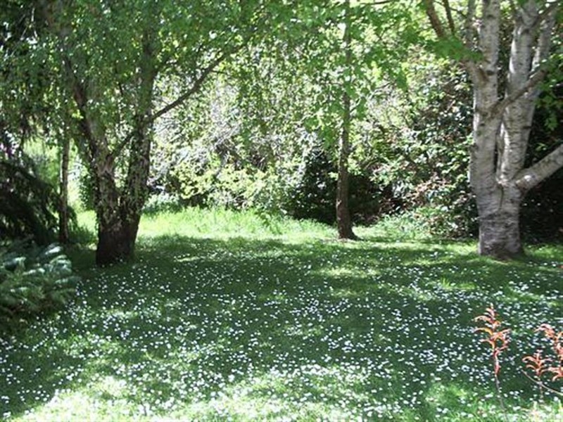 159 Creamery Road, Sulphur Creek, Penguin TAS 7316