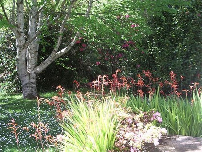 159 Creamery Road, Sulphur Creek, Penguin TAS 7316