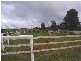 306 Mannings Jetty Road, North Motton TAS 7315