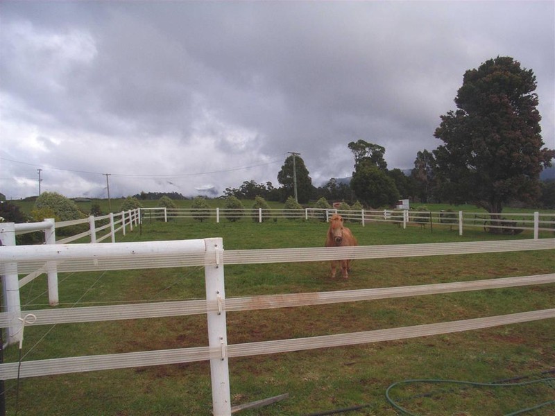 306 Mannings Jetty Road, North Motton TAS 7315