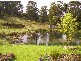 502 Cradle Mountain Road, Wilmot, Ulverstone TAS 7315