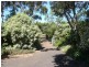 322 Braddons Lookout Road, Forth TAS 7310