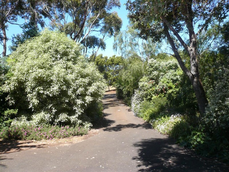 322 Braddons Lookout Road, Forth TAS 7310