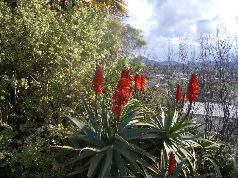 51 Risby Street, Ulverstone TAS 7315