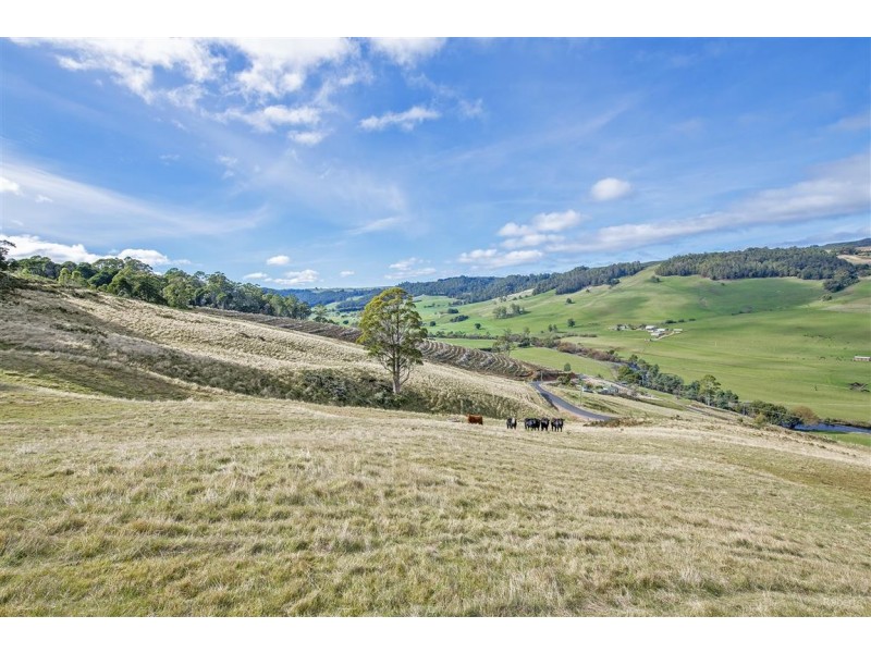 1689 South Riana Road, Gunns Plains TAS 7315