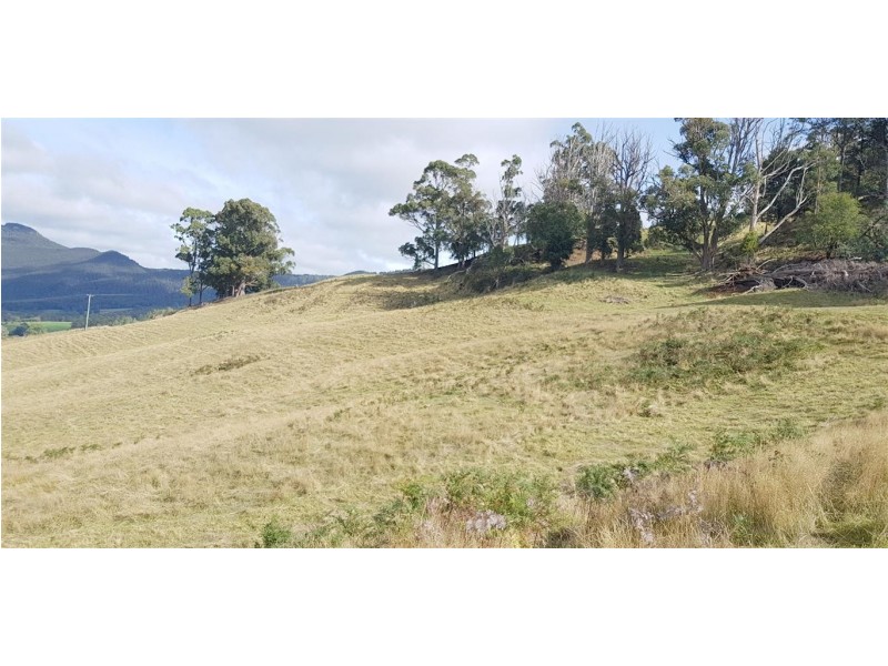 1689 South Riana Road, Gunns Plains TAS 7315