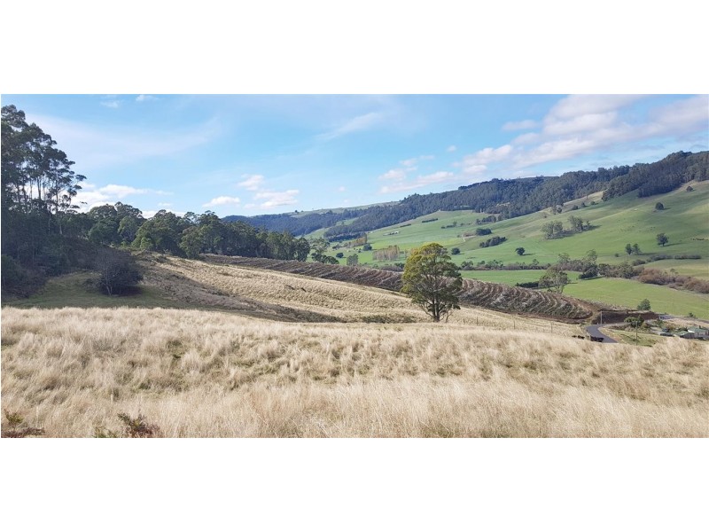 1689 South Riana Road, Gunns Plains TAS 7315
