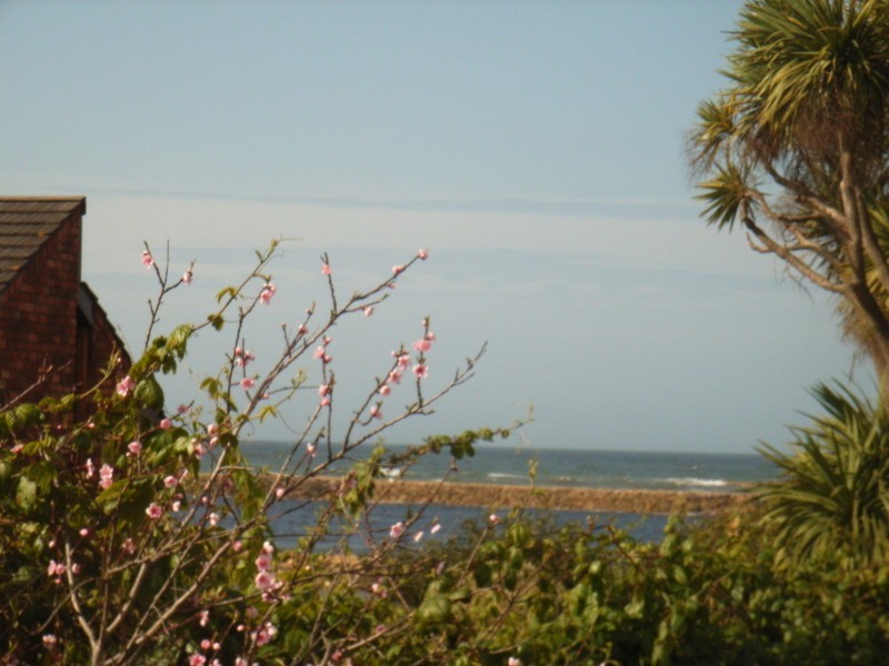 32 Braddon Street, Ulverstone TAS 7315