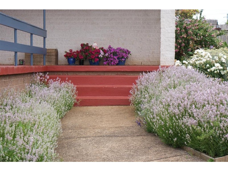 61 Upper Maud Street, Ulverstone TAS 7315