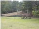 3052 Castra Road, Nietta TAS 7315