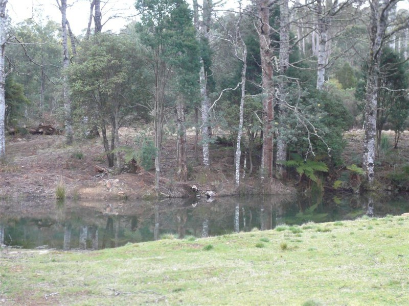 3052 Castra Road, Nietta TAS 7315