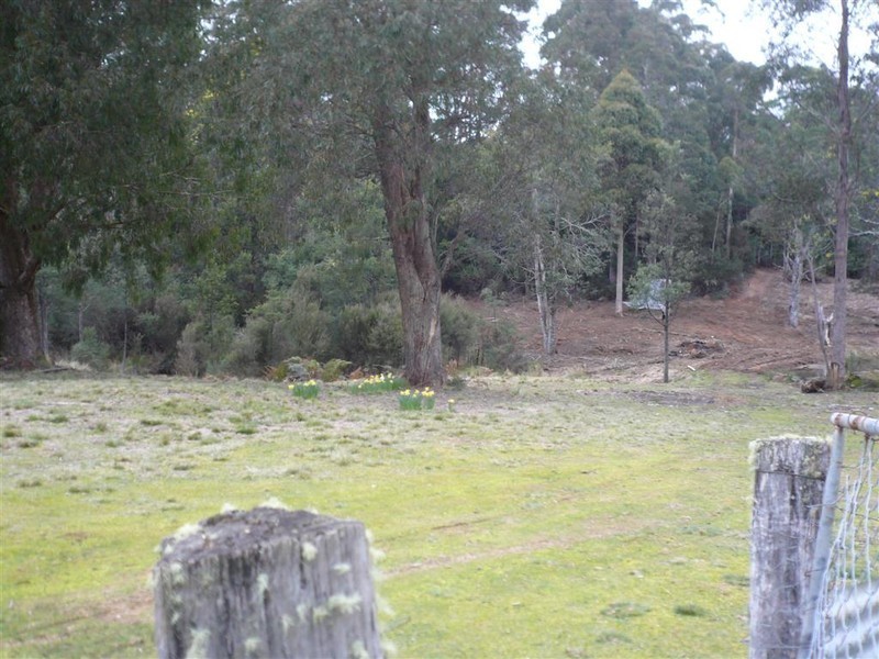 3052 Castra Road, Nietta TAS 7315