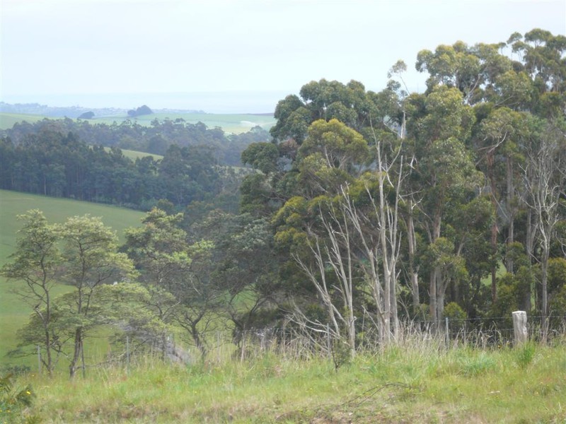 Ellis Road, Abbotsham TAS 7315