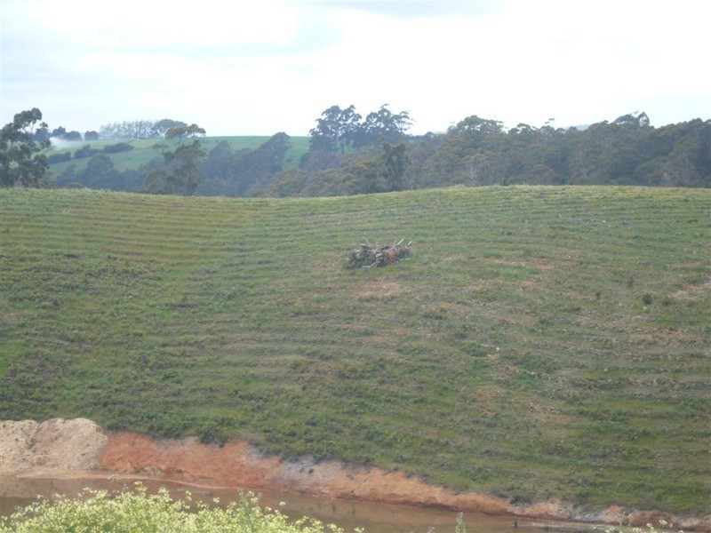 Ellis Road, Abbotsham TAS 7315