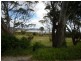 34 Clerke Street, Leith TAS 7315
