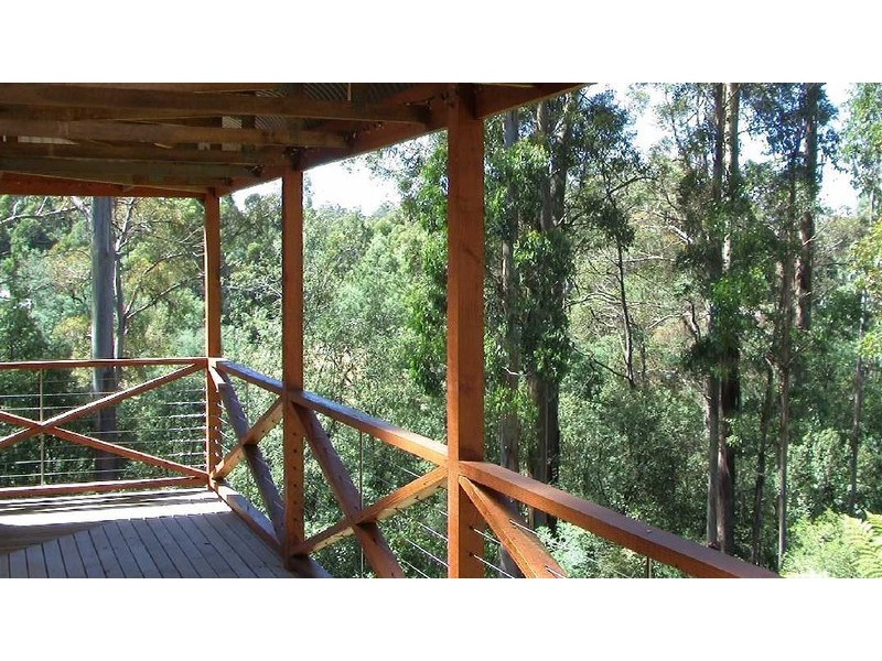 322 Allison Road, North Motton, Ulverstone TAS 7315