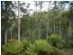 322 Allison Road, North Motton, Ulverstone TAS 7315