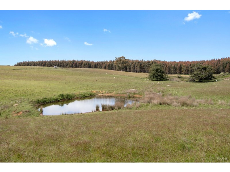 . South Nietta Road, Nietta TAS 7315