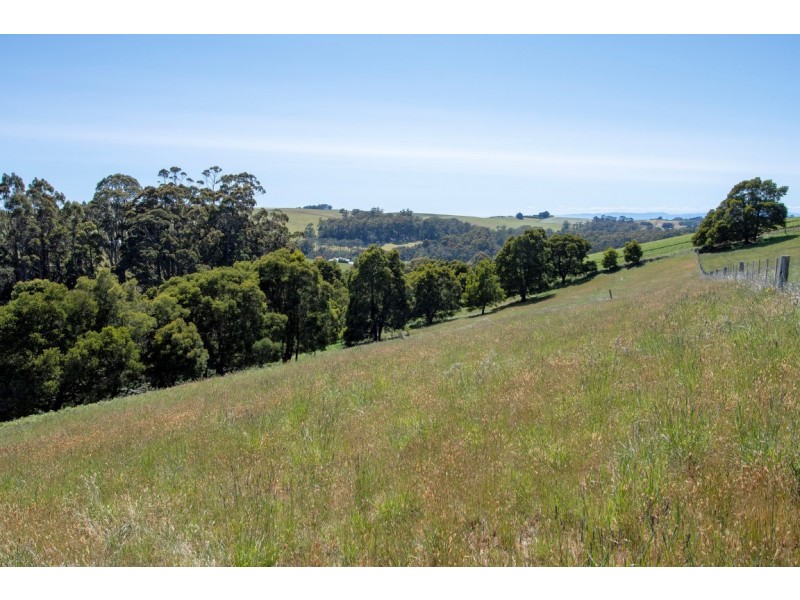 Lot 2 White Hills Road, Penguin TAS 7316