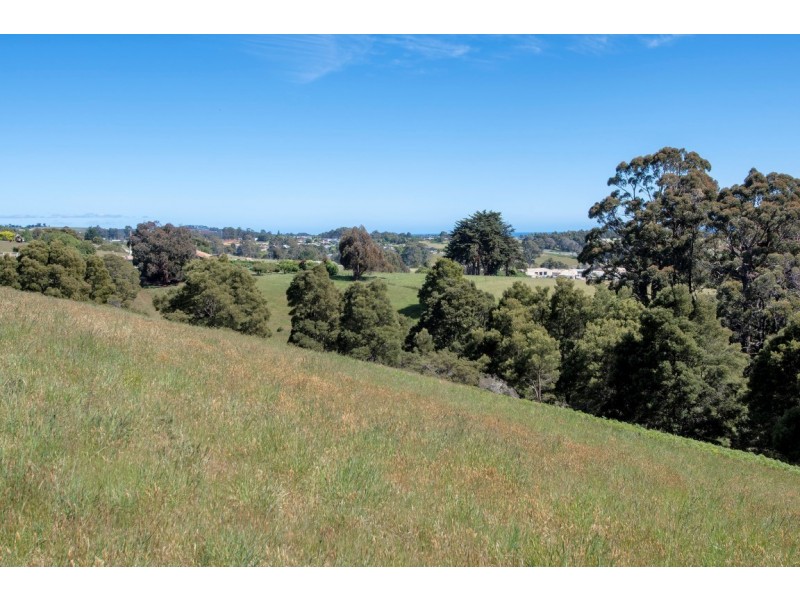 Lot 2 White Hills Road, Penguin TAS 7316