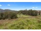 950 Loongana Road, Nietta TAS 7315