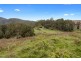 950 Loongana Road, Nietta TAS 7315