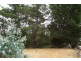 27 Quinn Street, Penguin TAS 7316