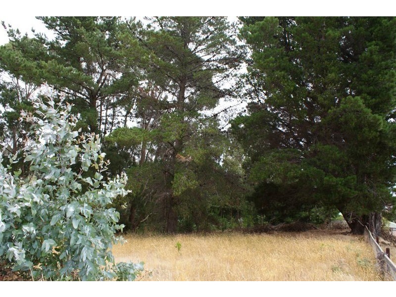27 Quinn Street, Penguin TAS 7316