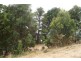 27 Quinn Street, Penguin TAS 7316