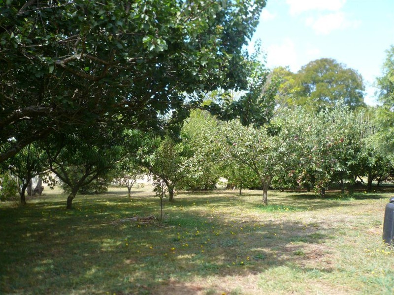 426 West Pine Road, West Pine TAS 7316