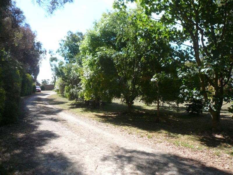 426 West Pine Road, West Pine TAS 7316