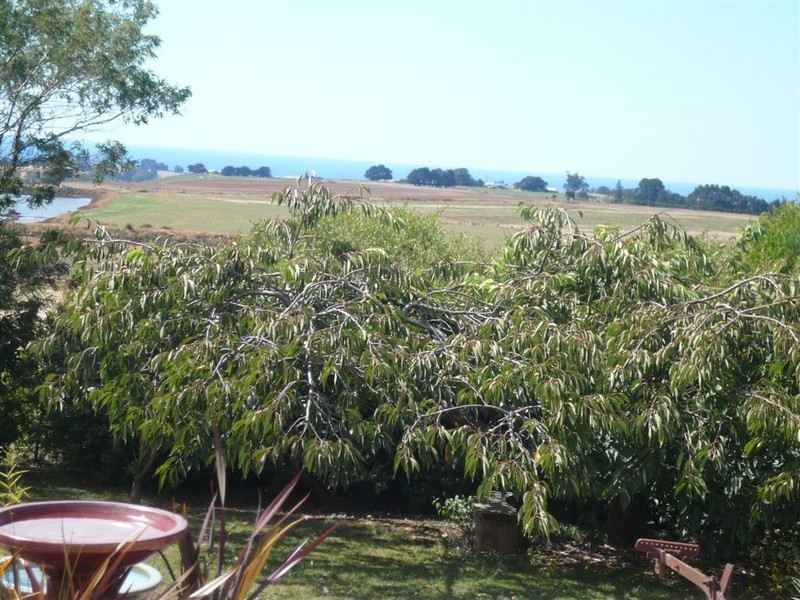 426 West Pine Road, West Pine, Penguin TAS 7316