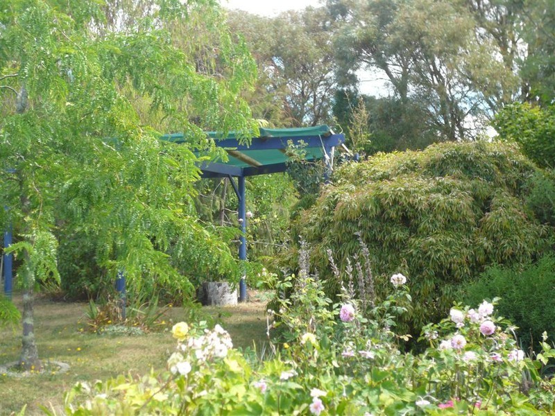 426 West Pine Road, West Pine, Penguin TAS 7316