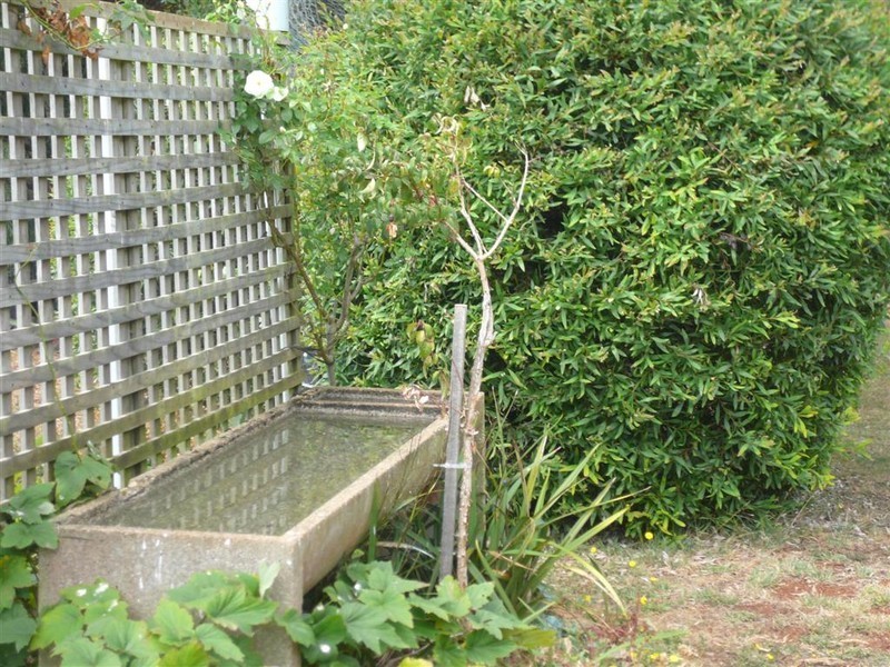 426 West Pine Road, West Pine, Penguin TAS 7316