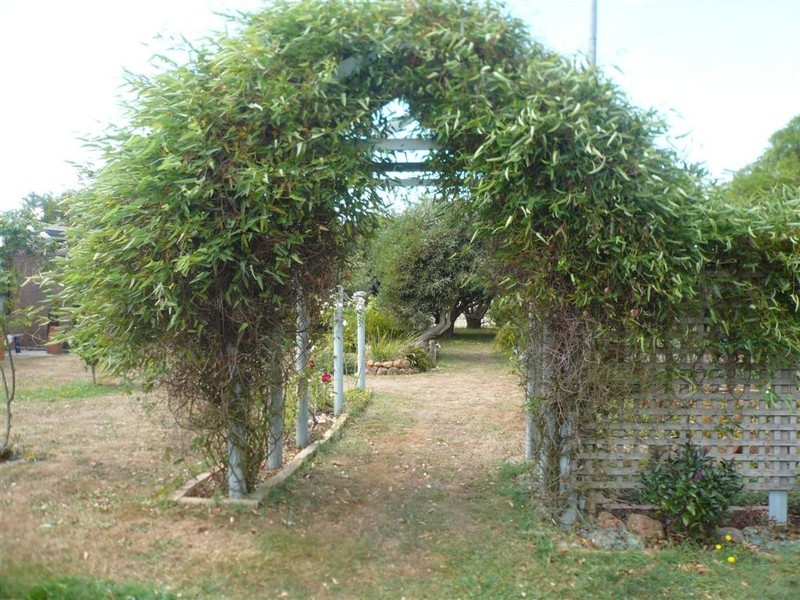 426 West Pine Road, West Pine, Penguin TAS 7316