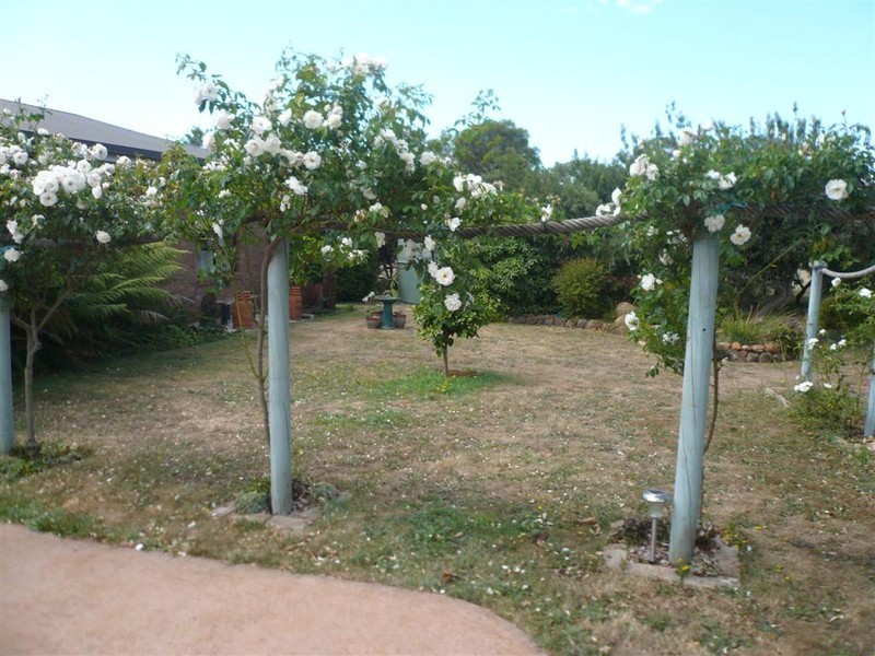 426 West Pine Road, West Pine, Penguin TAS 7316