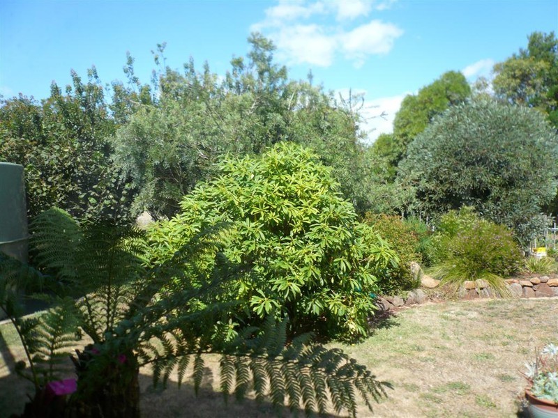 426 West Pine Road, West Pine, Penguin TAS 7316