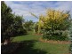 7 Church Road, North Motton TAS 7315