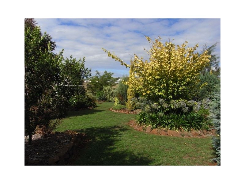 7 Church Road, North Motton TAS 7315