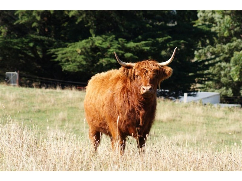 238 South Preston Road, Preston, Ulverstone TAS 7315