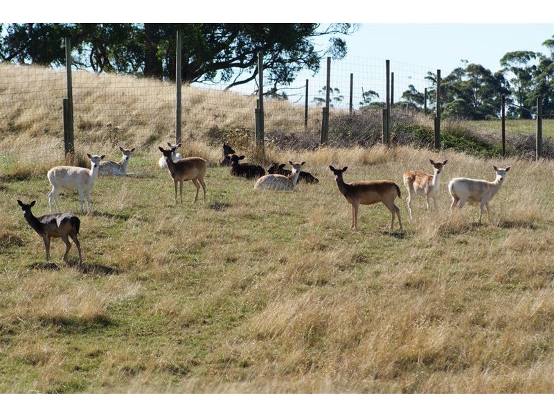 238 South Preston Road, Preston, Ulverstone TAS 7315