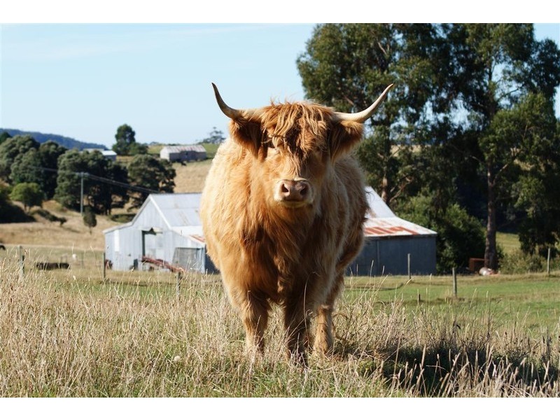 238 South Preston Road, Preston, Ulverstone TAS 7315